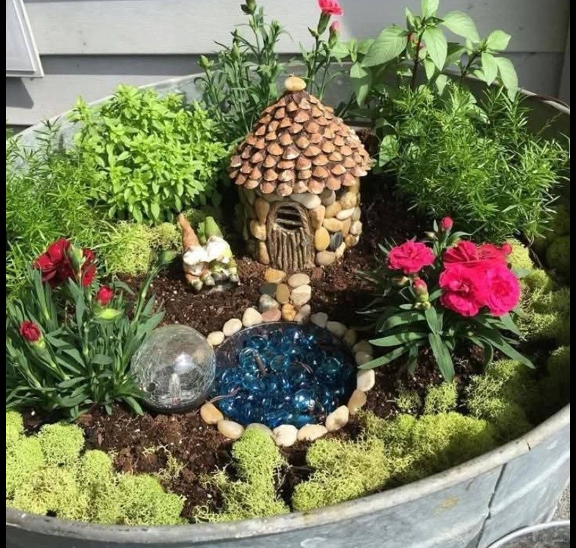 Fairy Garden Class!